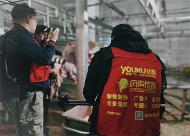 &#39318;&#39029;&#95;&#74;&#68;&#66;&#40;&#20013;&#22269;&#41;&#30005;&#23376;&#95;&#23448;&#26041;&#32593;&#31449;